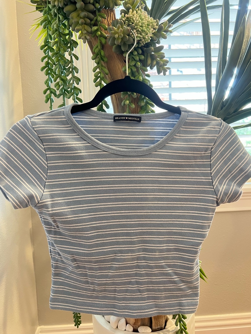 Brandy Melville Light Blue & White Striped Crop Tee